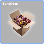 Sonstiges / Andere Artikel