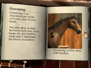 Playstation 1 - Mary Kings Riding Star (mit OVP) (gebraucht)