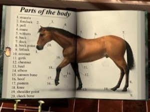 Playstation 1 - Mary Kings Riding Star (mit OVP) (gebraucht)